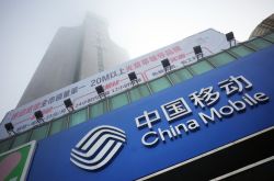 【4分钟教程】贵州省黔南布依族苗族自治州政府电话_哔哩哔哩-3